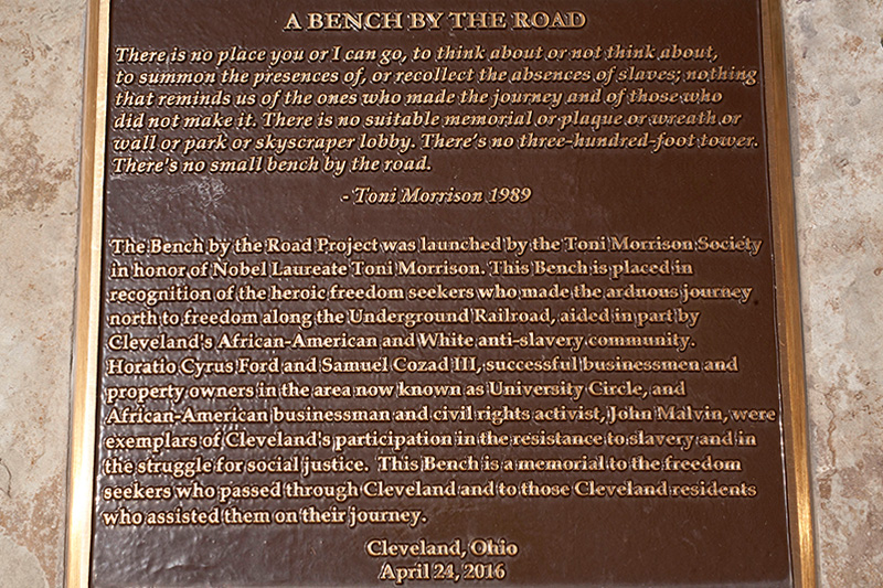 Bench By The Road